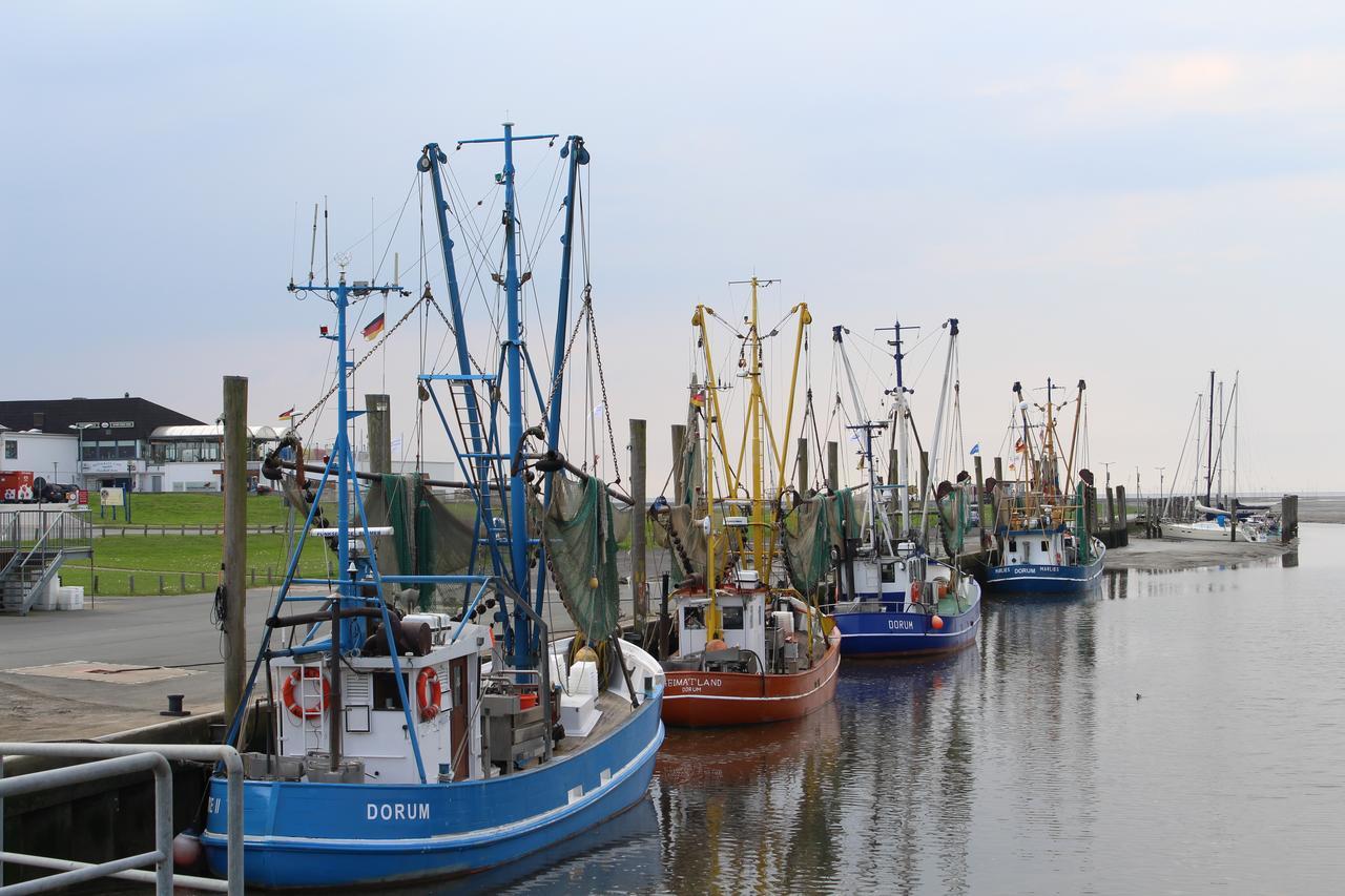 Ferienhaus Vogel - Dorum Neufeld - Nordsee 外观 照片